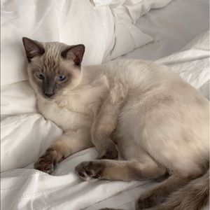 Meet your Posher, Sophie